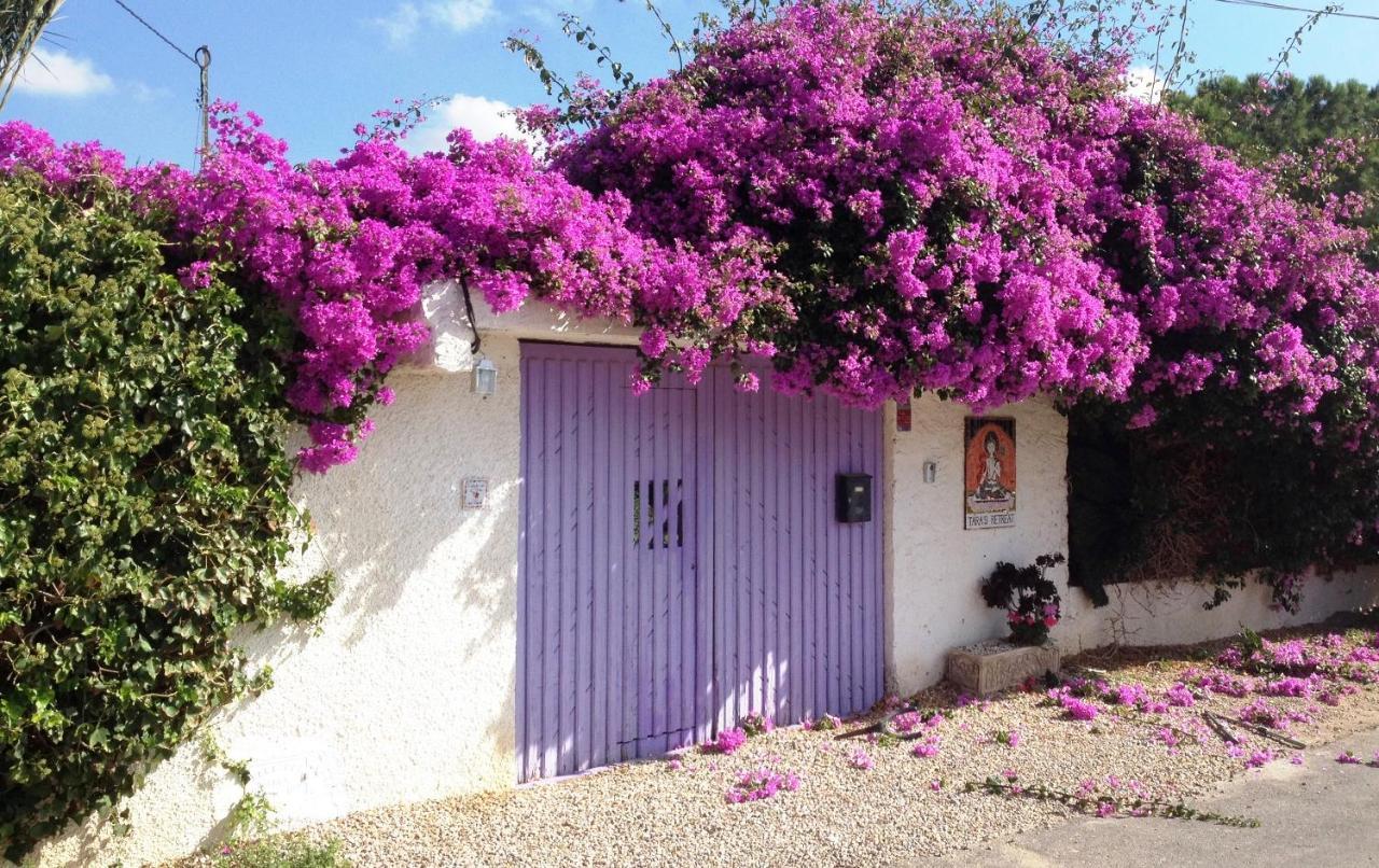 Pensión Tara Cartagena
