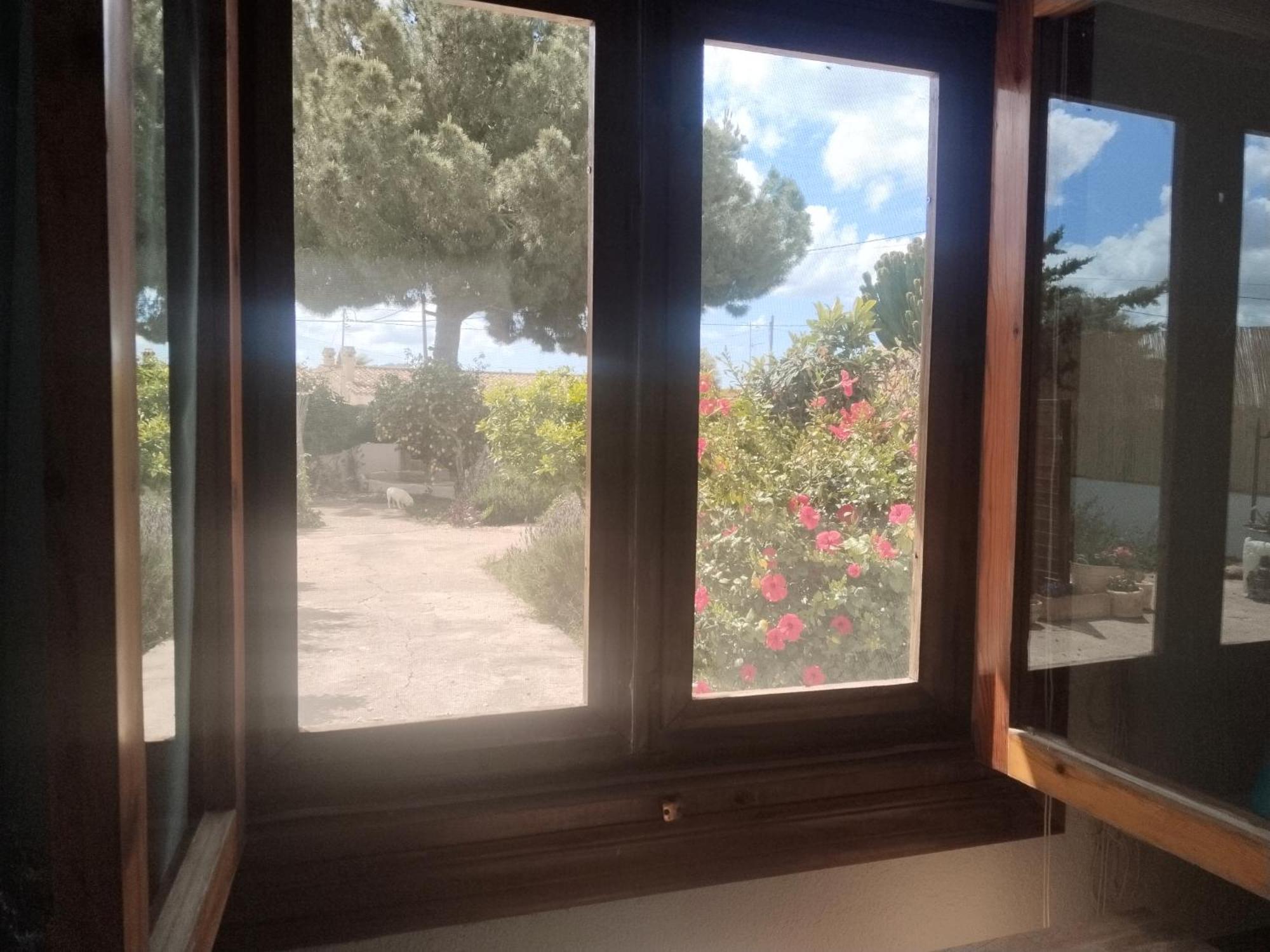Guest house Tara Casa *